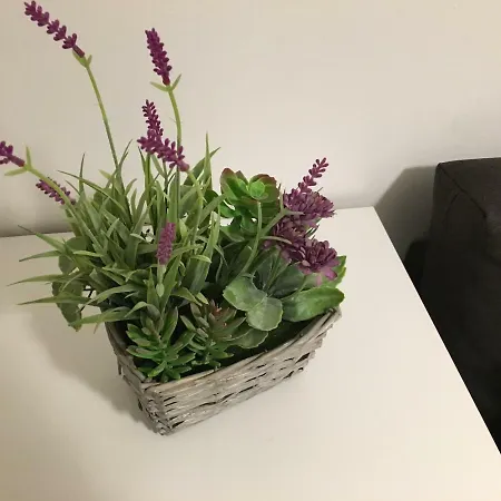 Tirreno Porta Nuova Apartment